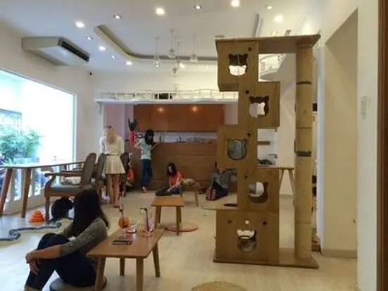 イチキャットカフェ