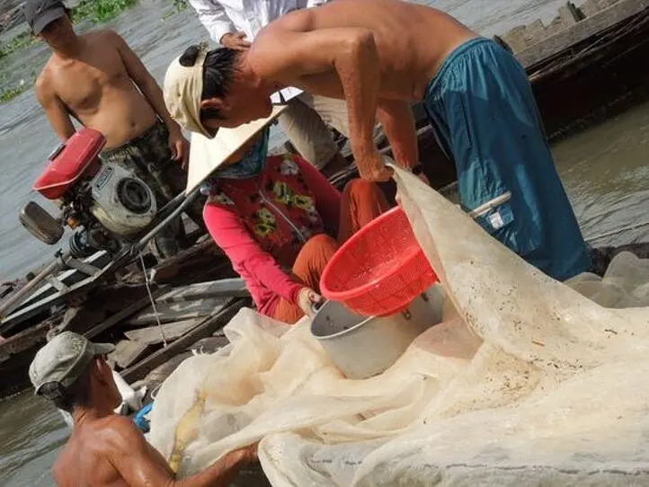 ホーチミン発メコン川クルーズのハイライトをご紹介します！いますぐ出発したくなる