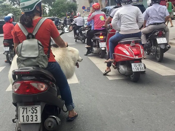 交渉制バイクタクシー・セオムの乗り方完全マニュアル