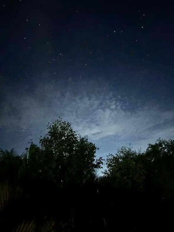 メコン川の秘境で星を観察