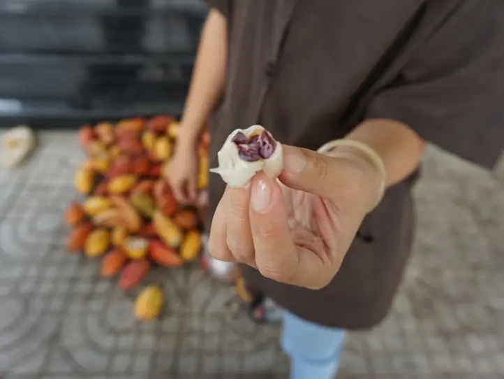 メコン川クルーズ・ツアーに行くならこれがオススメ！〜サイゴンブルートラベルのツアーに参加してみた〜