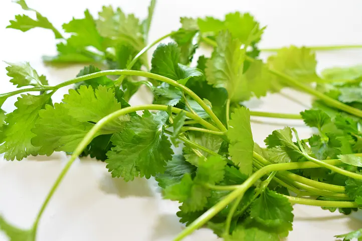 日本とベトナムの「食べない」文化 – 身近な食材に潜む異文化の壁