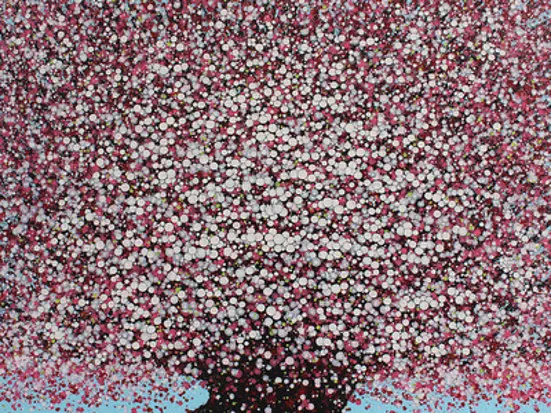 クレイグトーマスギャラリー