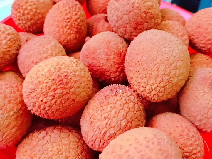 ベトナムにライチの季節がやってきました