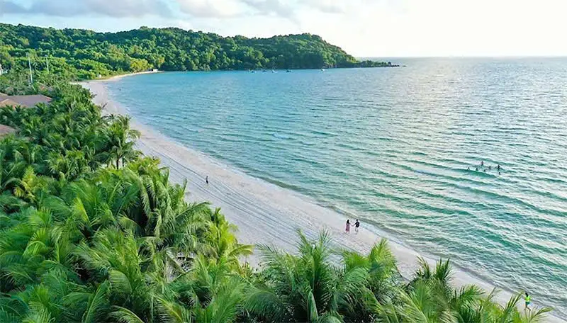 ベトナム観光ガイド：ホーチミンから広がる魅力的な旅