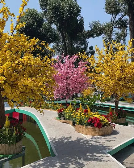 【2026年テト】ホーチミン・ベンタイン市場とコン・ルア池が改修完了｜新年に訪れたい市内中心の人気スポット