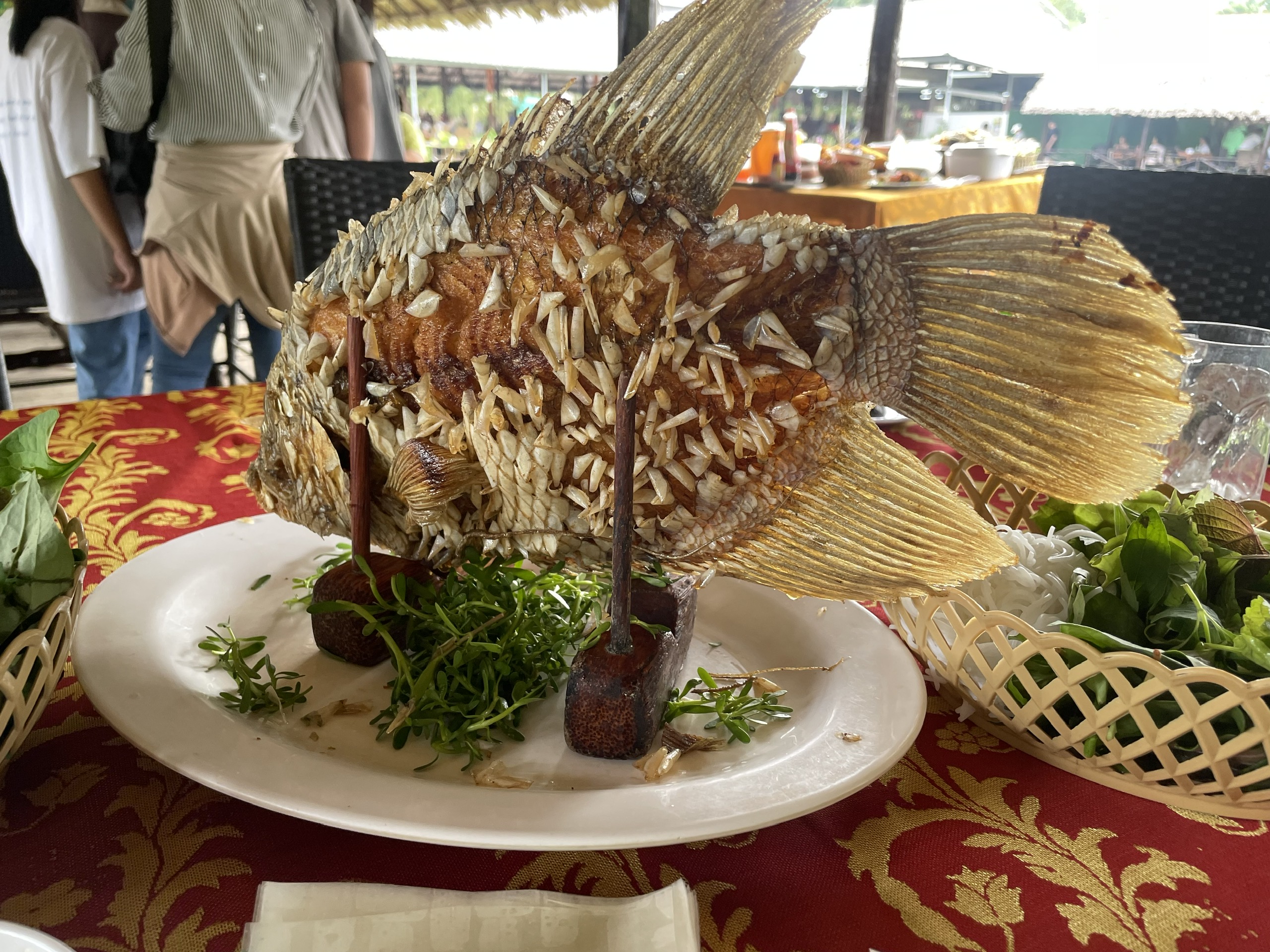 蛍鑑賞！メコン川クルーズナイトツアー＋ホーチミン市内観光／日本語ガイド