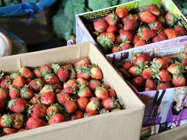 ベトナムに住んでみてはじめてわかる。日本の食材との違い・5選