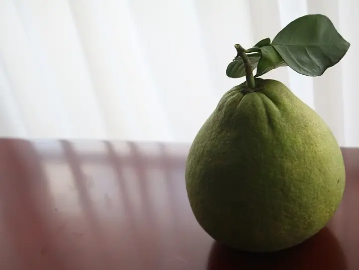 ホーチミンから足を延ばして。ザボン村を訪ねる