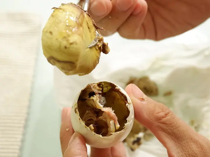 技あり！？「ホビロン」の上手な食べ方（閲覧注意）