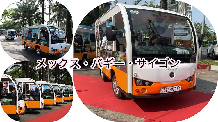 メックスバギー30分利用 （フリープラン）