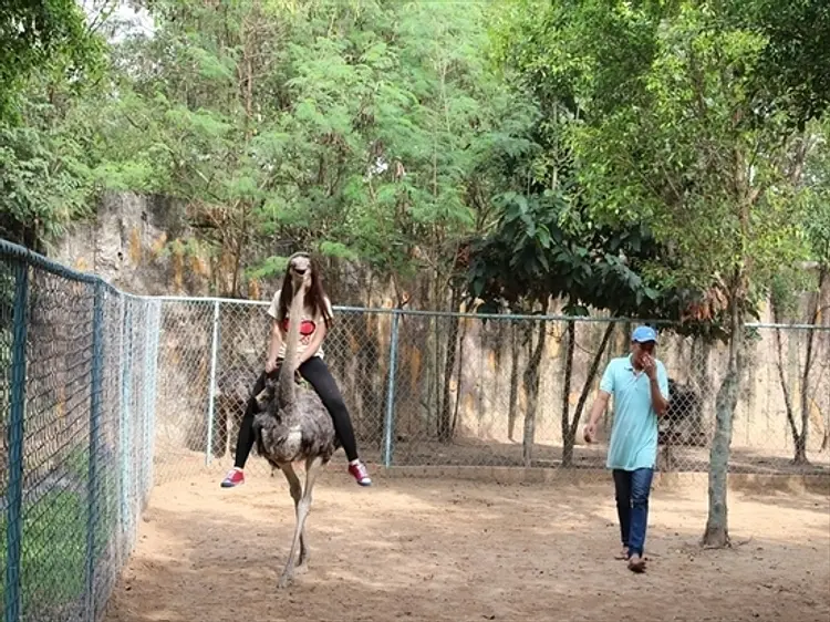 ダイナム公園