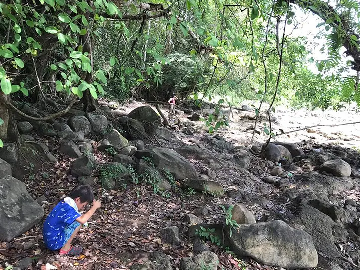 【週末特集】国立公園ナムカッティエンの大自然を満喫・バードウォッチングやサイクリングを楽しもう。