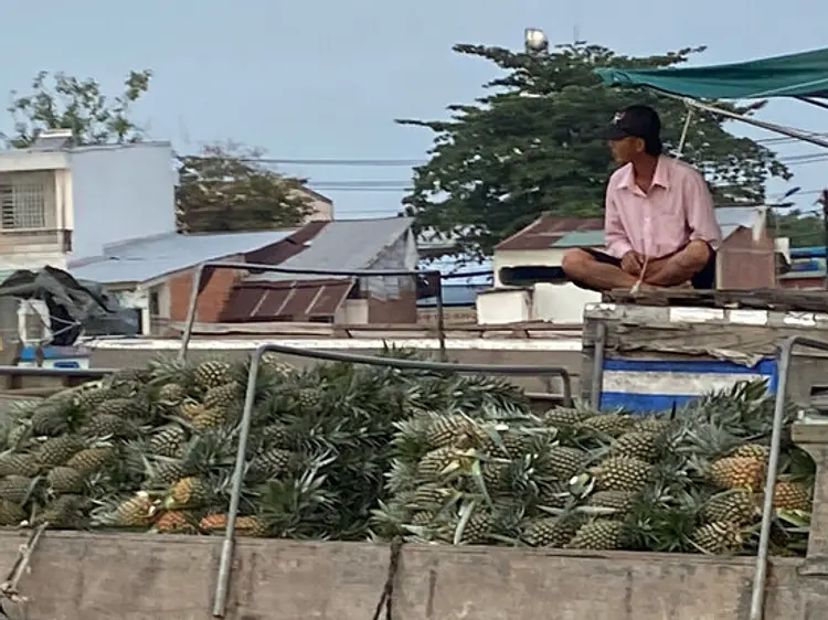 サザンブリーズ