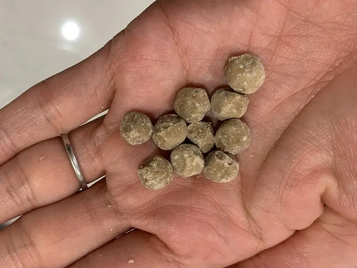 お土産にもぴったり！乾燥タピオカを買って話題のドリンクを自宅で再現してみよう！