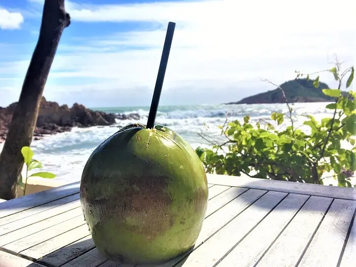 クイニョンシービューのバーとカフェ