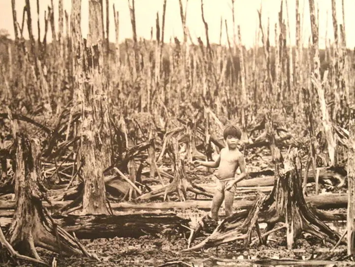 王道の観光スポットを網羅！ホーチミン市内観光の魅力をご紹介します