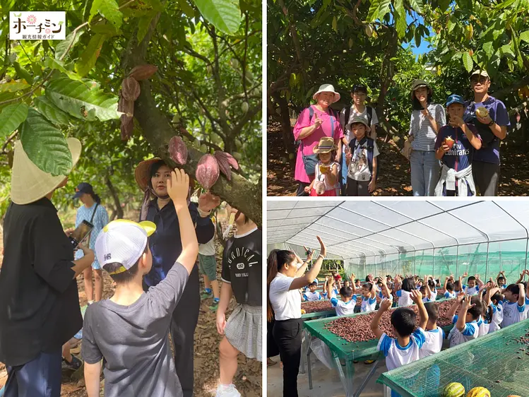 ちょこっとチョコレート体験＆お土産付き！ベトナムカカオ園と工場見学ツアー／日本語ガイド／貸切車／1日