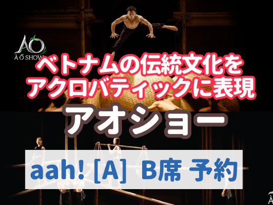 ホーチミン｜サイゴンオペラハウス・アオショー 鑑賞チケット（1階サイドもしくは3階席）／チケット手配のみ／市民劇場／ナイト