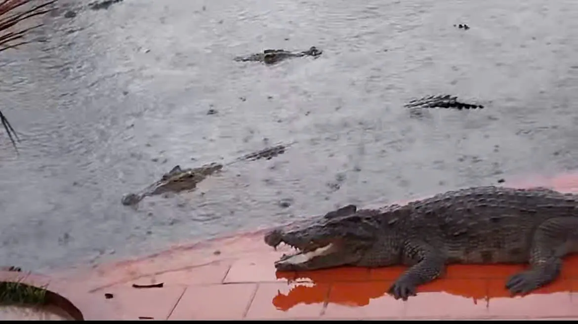 Đầm Sen（ダムセン）と Suối Tiên（スオイティエン）、どちらに行くべき？