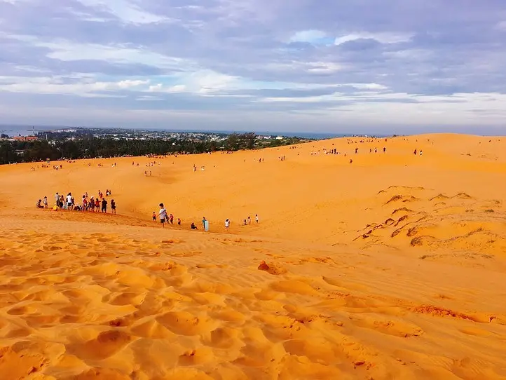 ドラゴンフルーツ畑に行ってみた