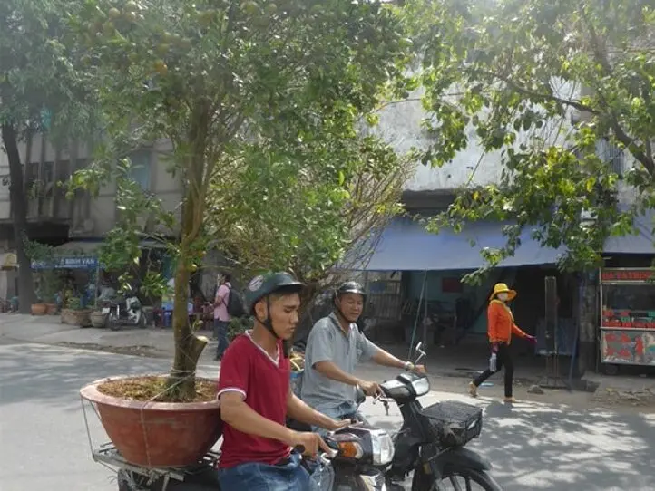 テトを前にホーチミンは華やかに～8区運河沿いにある花市場