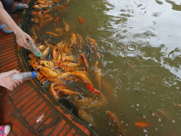 メコン川クルーズ・ツアーに行くならこれがオススメ！〜サイゴンブルートラベルのツアーに参加してみた〜