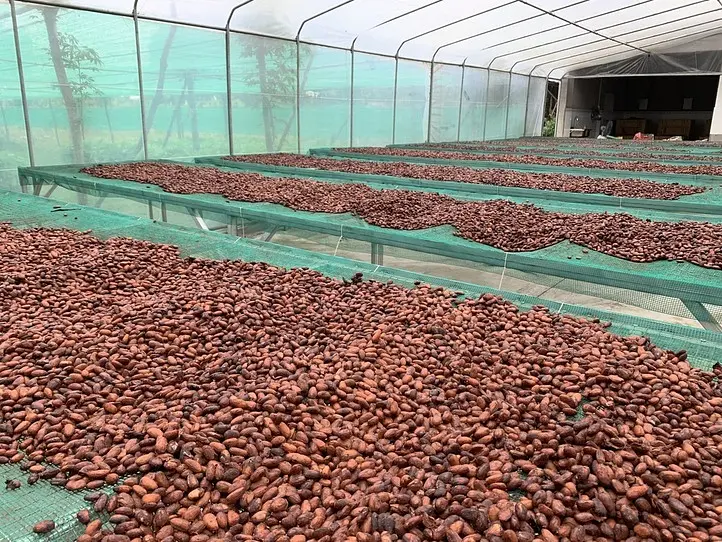 日帰りトリップ！現地ツアーに参加してBINON CACAO PARK(ビノンカカオパーク)でベトナム産カカオについて知ろう！