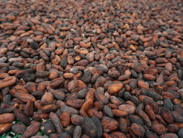 メコン川クルーズ・ツアーに行くならこれがオススメ！〜サイゴンブルートラベルのツアーに参加してみた〜