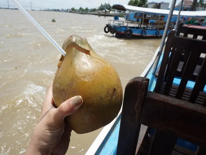 メコン川クルーズ・ツアーに行くならこれがオススメ！〜サイゴンブルートラベルのツアーに参加してみた〜