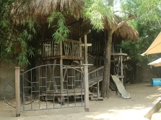 The Snap Cafe (スナップ・カフェ)