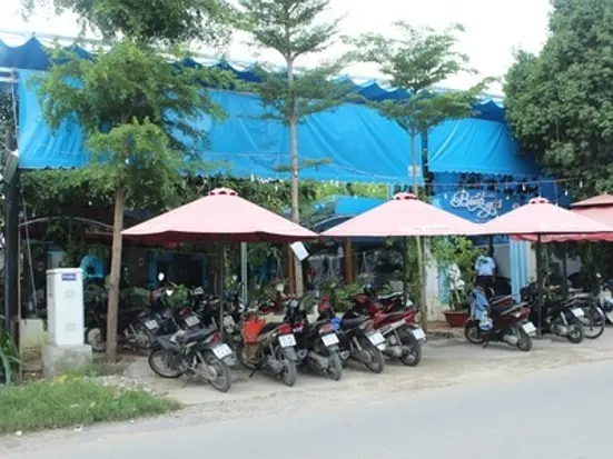 カフェ・ビンゴイ