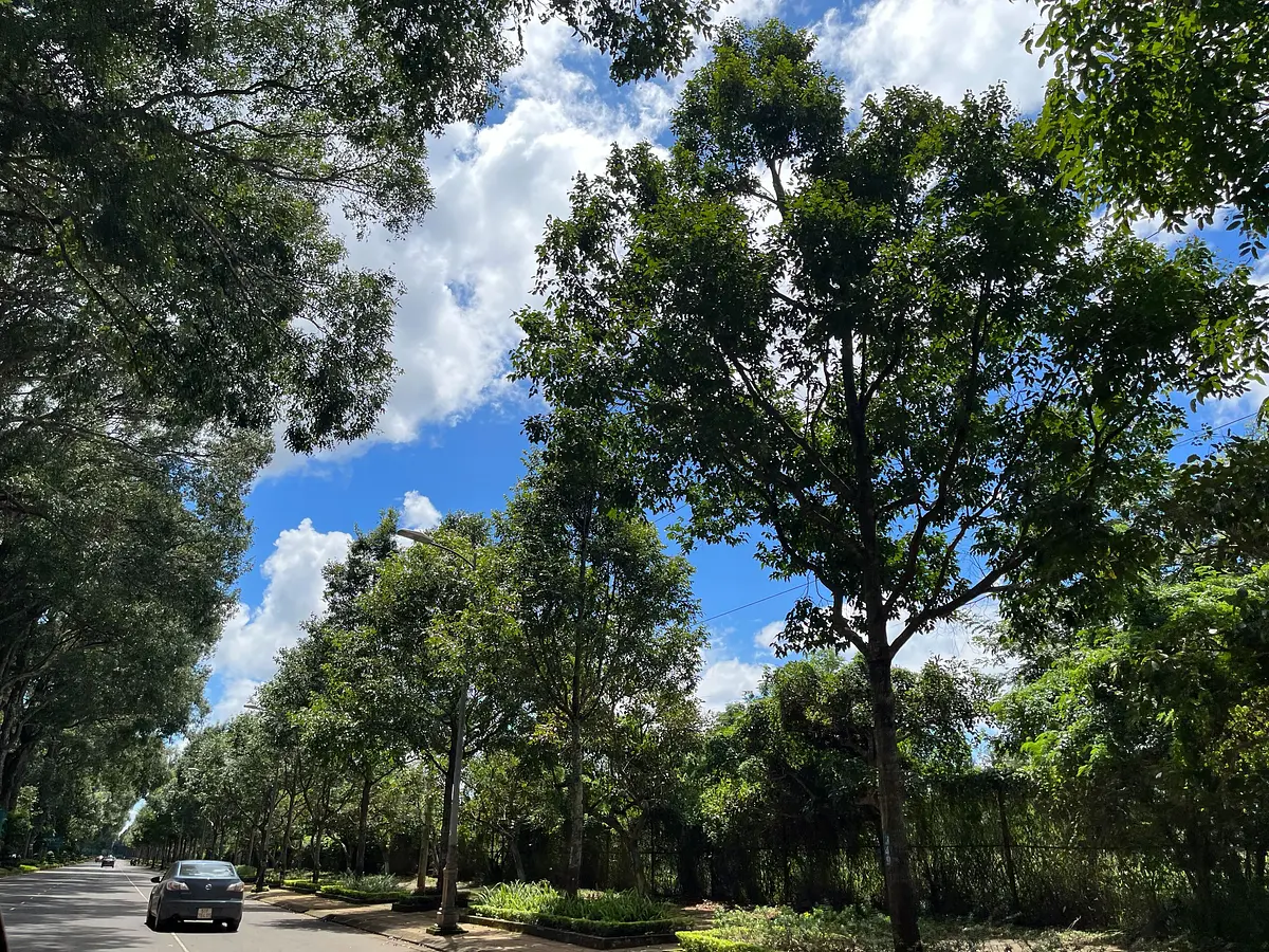 ホーチミン旅行で「これを知ってると疲れにくい」7つのコツ