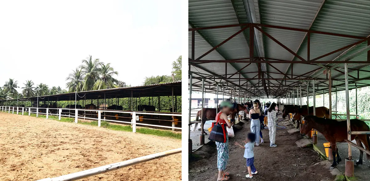 ホーチミン市から30分で行ける乗馬クラブ「Saigon Pony Club」に行ってみた