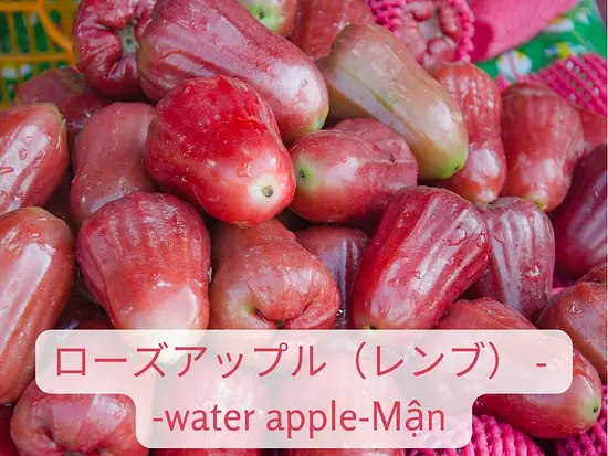 ホーチミンの暑さを忘れさせる！雨季と乾季のベトナムフルーツ特集