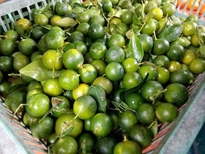 ベトナムに住んでみてはじめてわかる。日本の食材との違い・5選