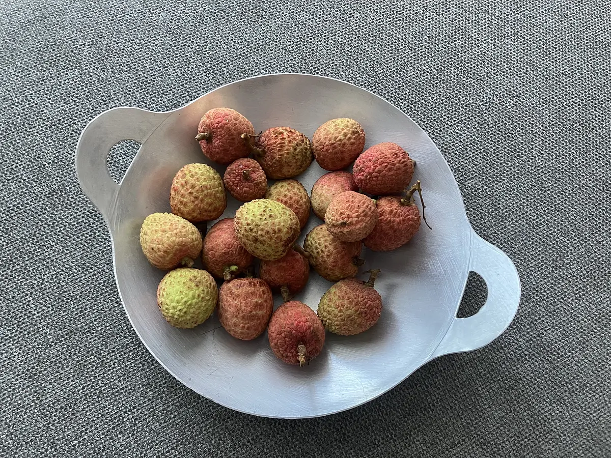 在住者の私が日本に持って帰る「ベトナム雑貨」はこれ！