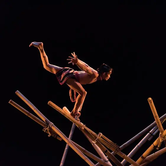 ルーンプロダクション ホイアン「テッダー」