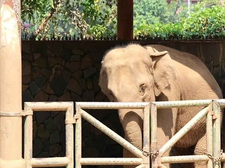 サイゴン動植物園