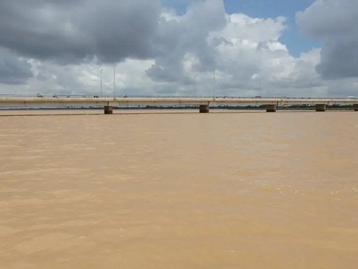 鉄板！日本語ガイド付きでホーチミンから半日で行ける現地ツアー・メコン川クルーズのレポート