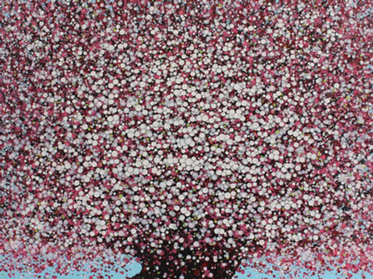 クレイグトーマスギャラリー