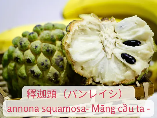 ホーチミンの暑さを忘れさせる！雨季と乾季のベトナムフルーツ特集