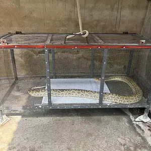 ホーチミン旅行の大定番！メコン川クルーズツアーの魅力