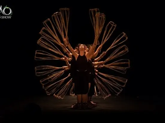 ベトナムの文化と伝統をアクロバティックに「アオショー」