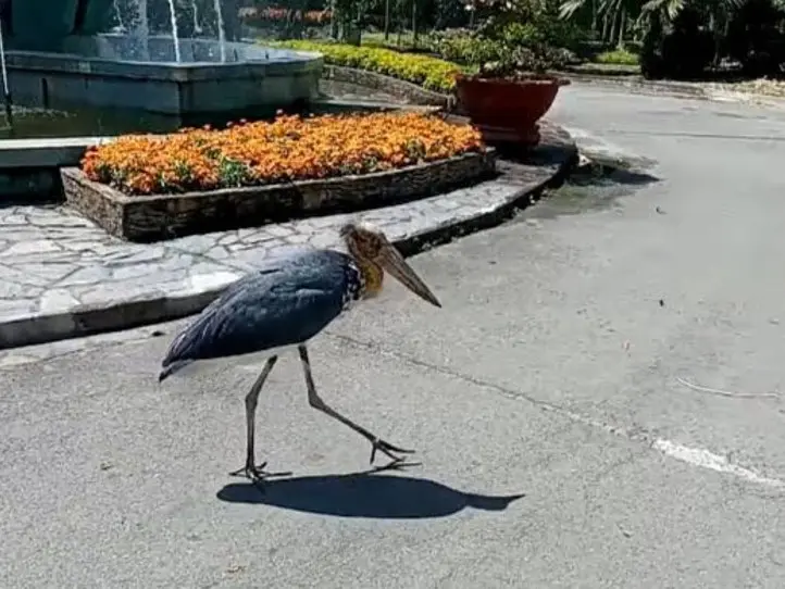 【週末特集】ベトナムの歴史と文化を辿る。ホーチミン市歴史博物館