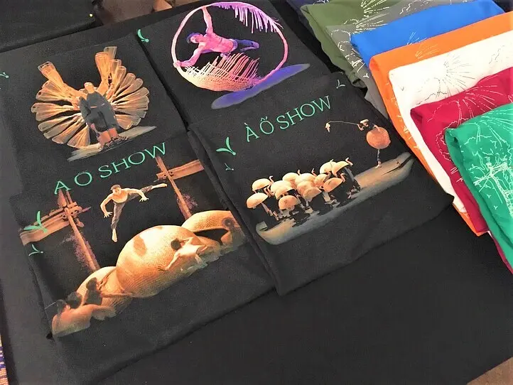 AOショーに行ってみた＆普段は見られないオペラハウスの内部を覗いてみた