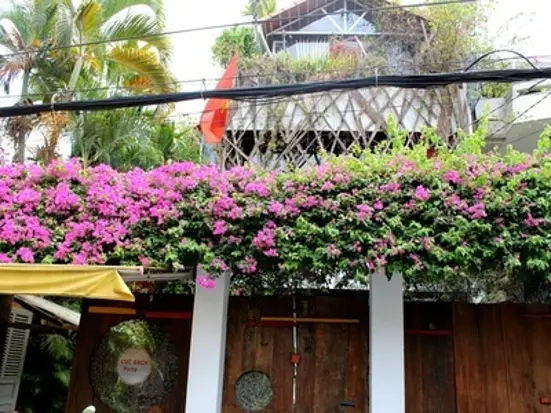 クック　ガック　クアン