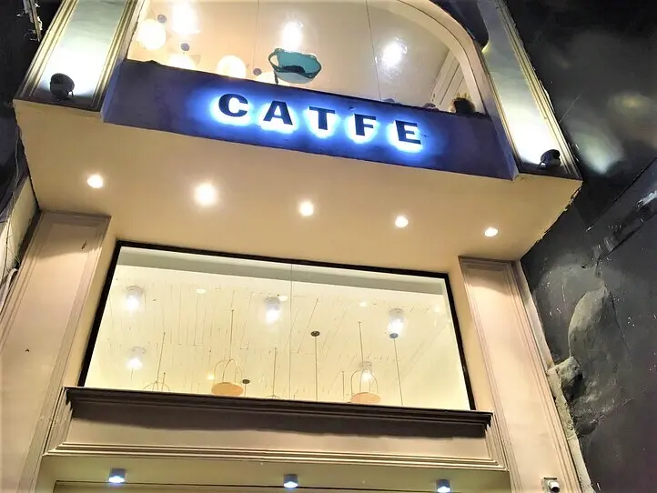 ホーチミンの猫カフェ「CATFE」に行ってみた