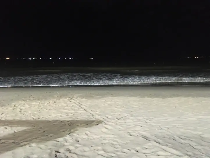 クイニョンシービューのバーとカフェ