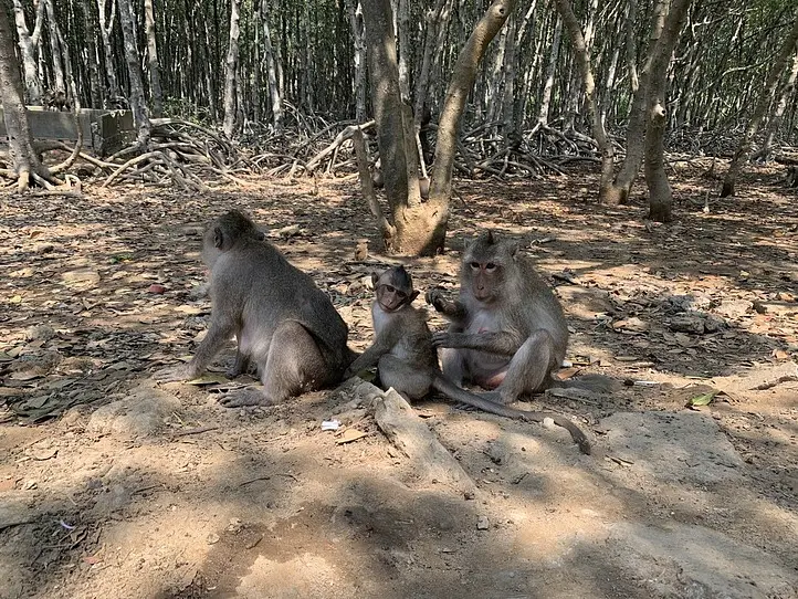 カンザー国立公園にいってみよう